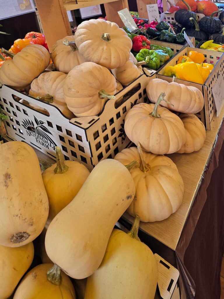 pumpkins and butternut squash forsale