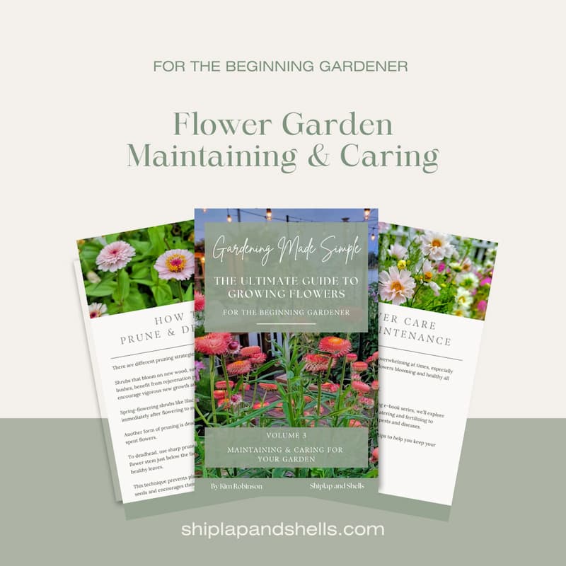 Graphics for beginner gardening eBook for sale