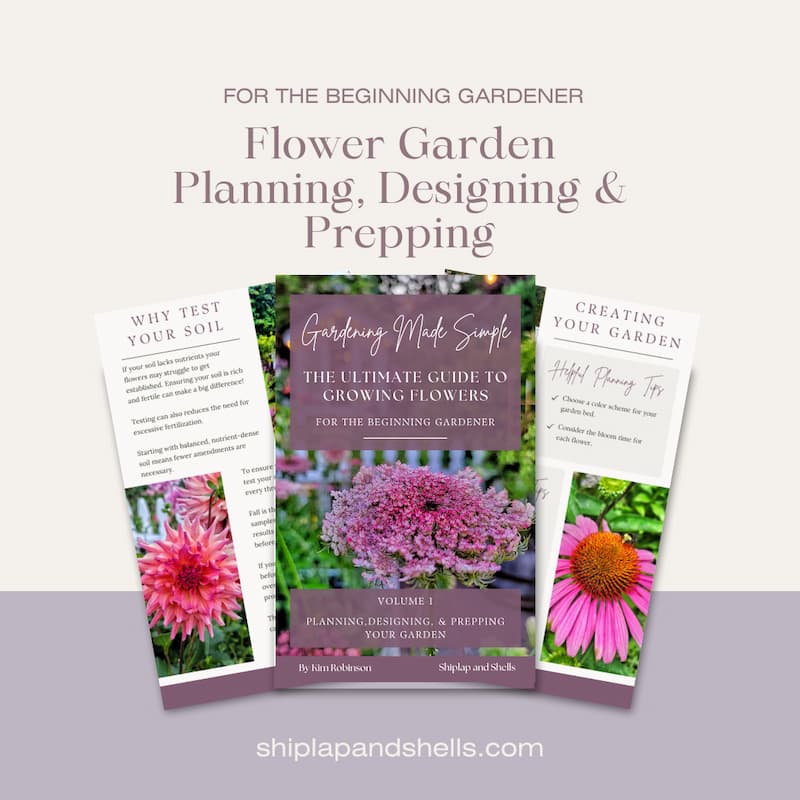 Graphics for beginner gardening eBook for sale
