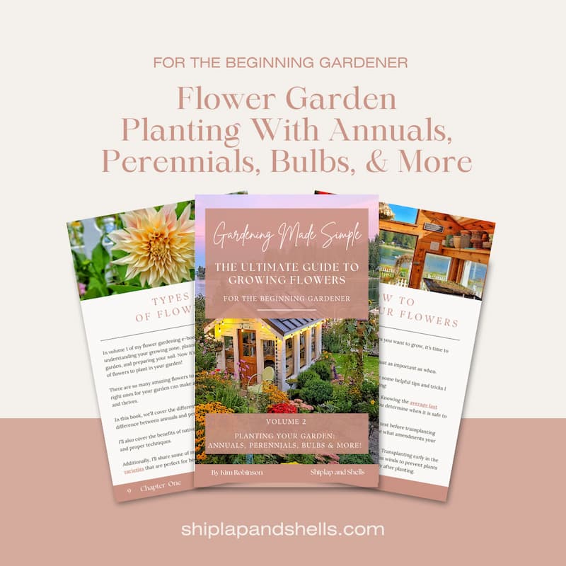 Graphics for beginner gardening eBook for sale