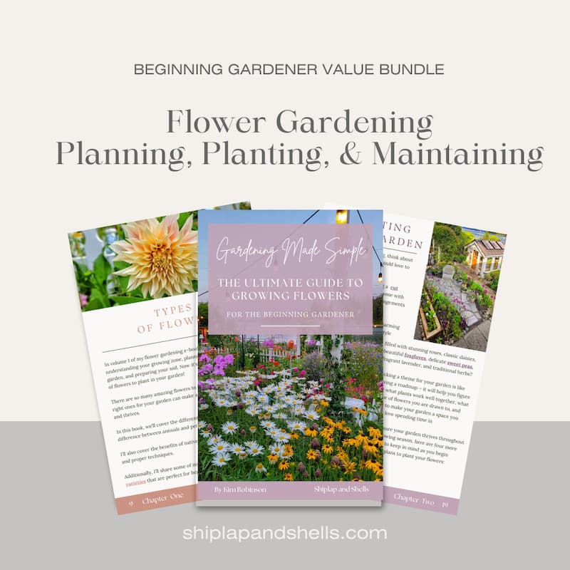 Graphics for beginner gardening eBook for sale