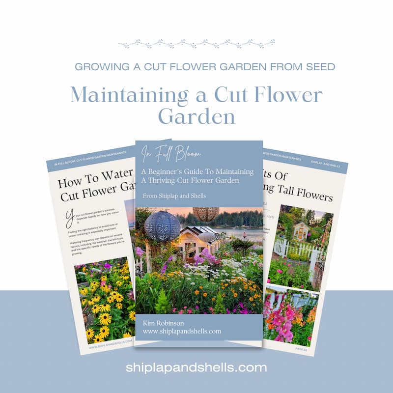 Graphics for growing cut flowers from seed eBook for sale