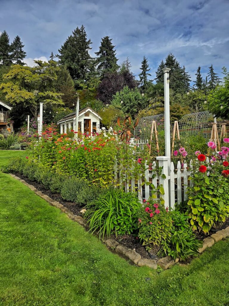 October cottage garden  