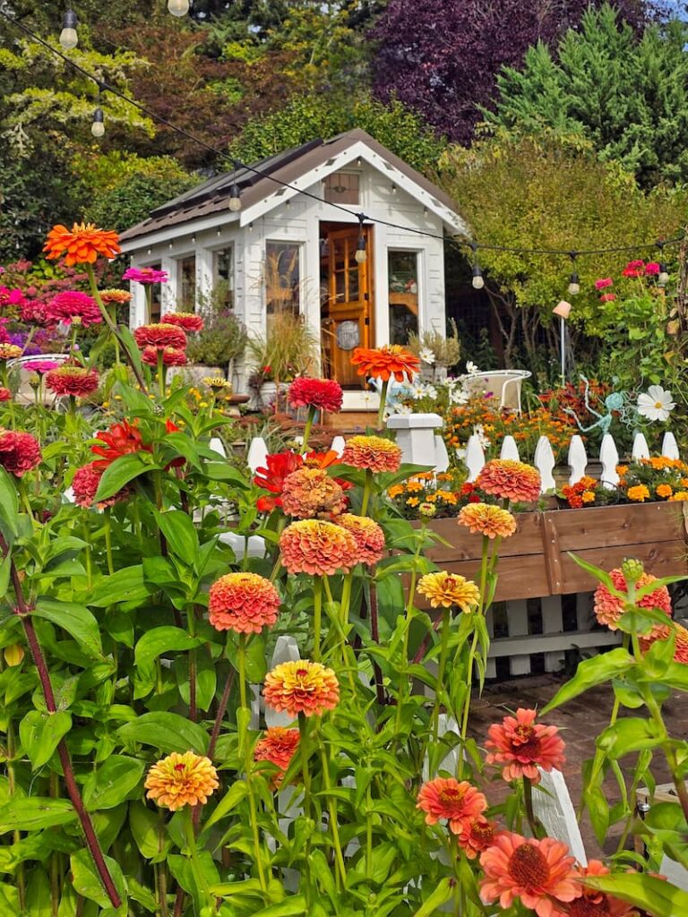 Saltwater Sounds: Cozy Chaos and Cottage Charm