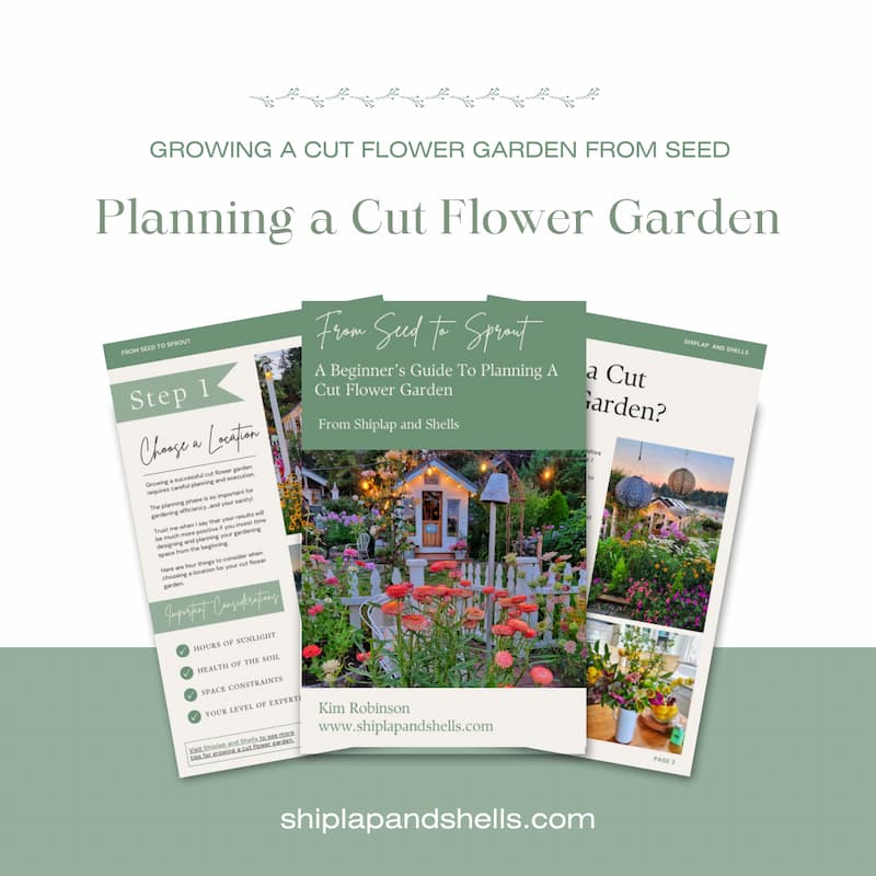 Graphics for growing cut flowers from seed eBook for sale