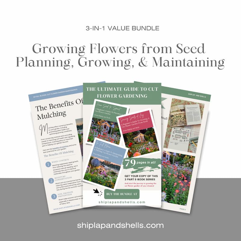Graphics for growing cut flowers from seed eBook for sale