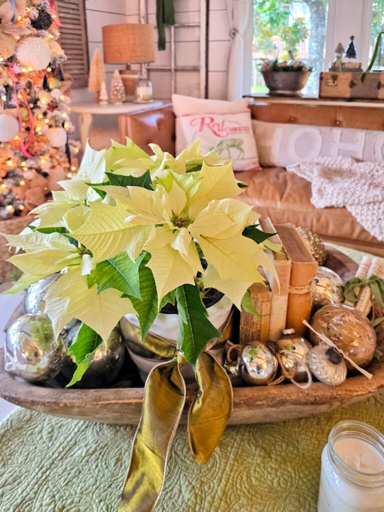 Saltwater Sounds: A Cozy Weekend of Gratitude, Leftovers & Holiday Cheer