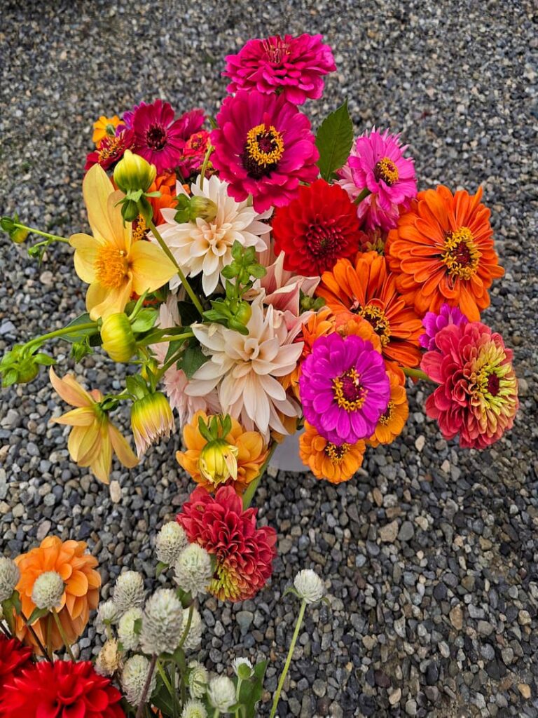 Saltwater Sounds: Gathering Beauty, One Bloom at a Time