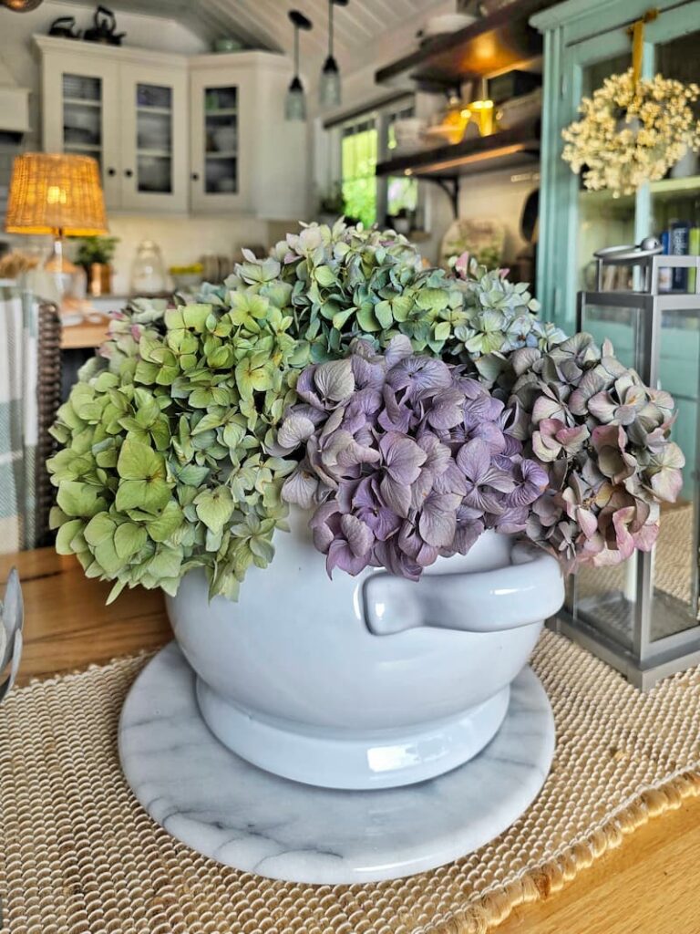 purple and green hydrangeas