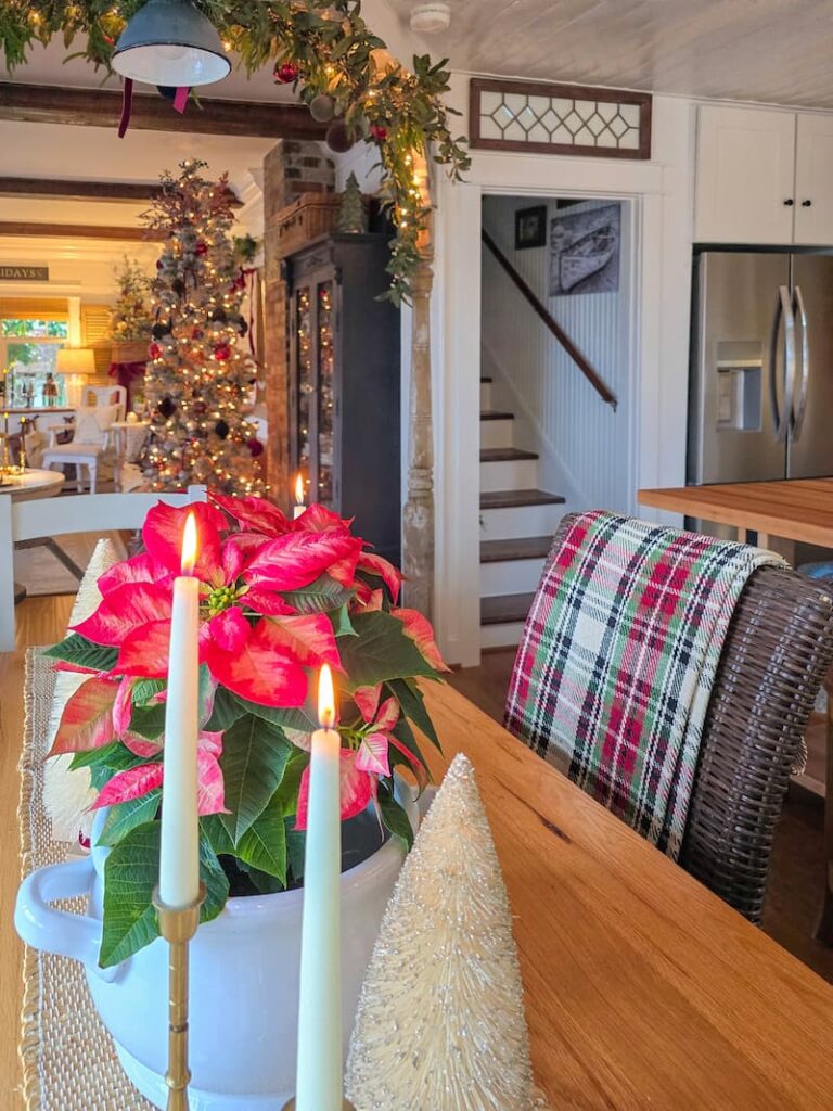 cottage kitchen decorated for Christmas with plaid throws over chairs and red poinsettia