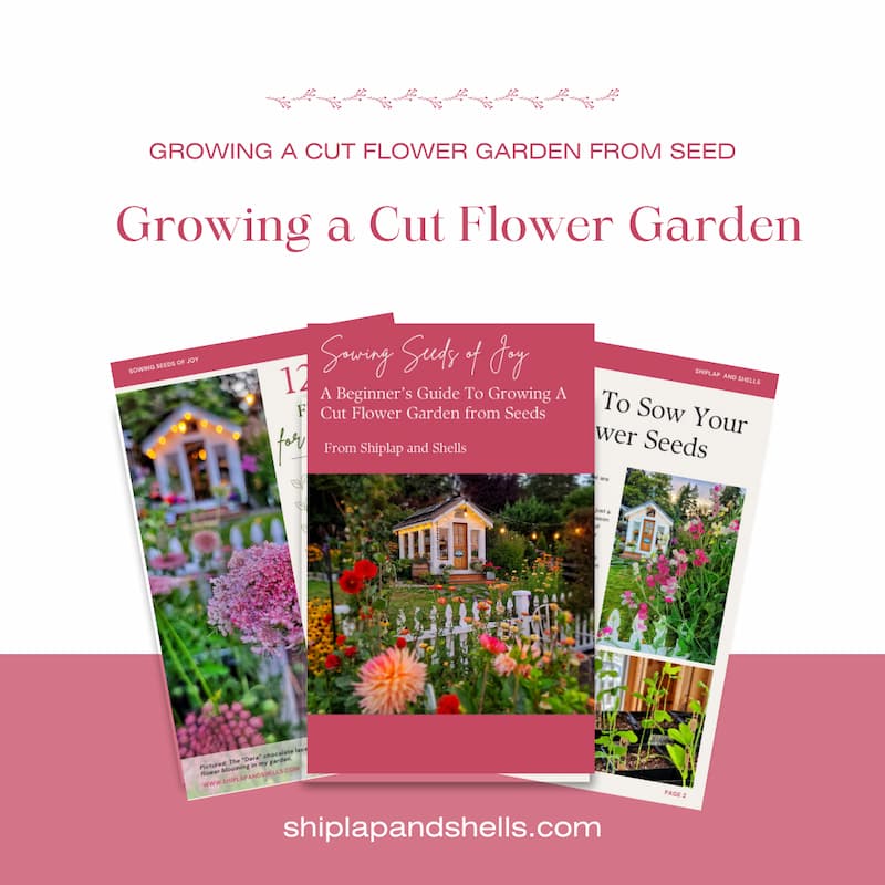 Graphics for growing cut flowers from seed eBook for sale