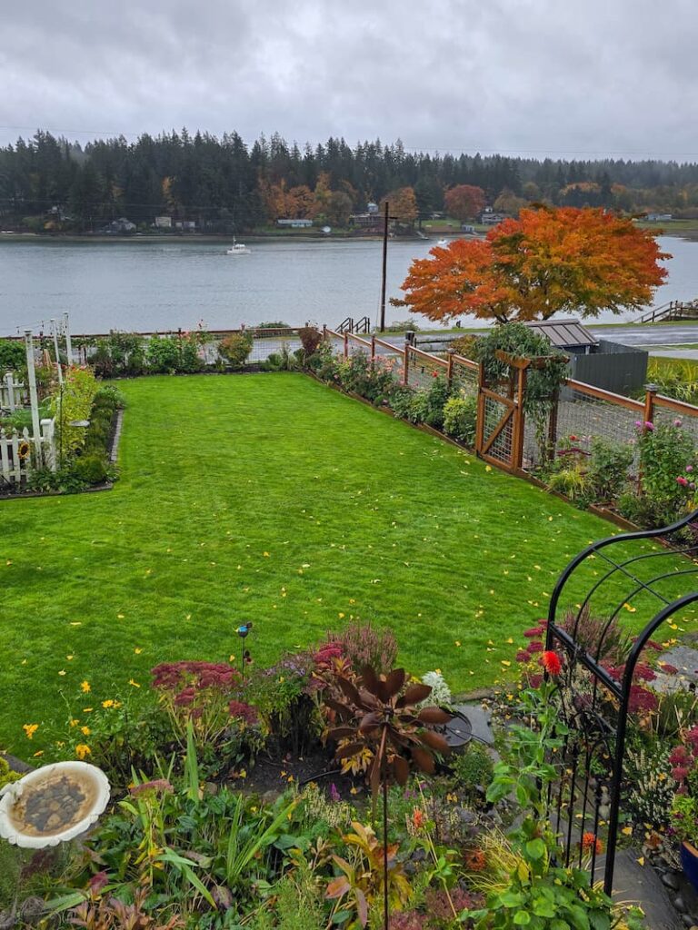 garden in the fall on November first