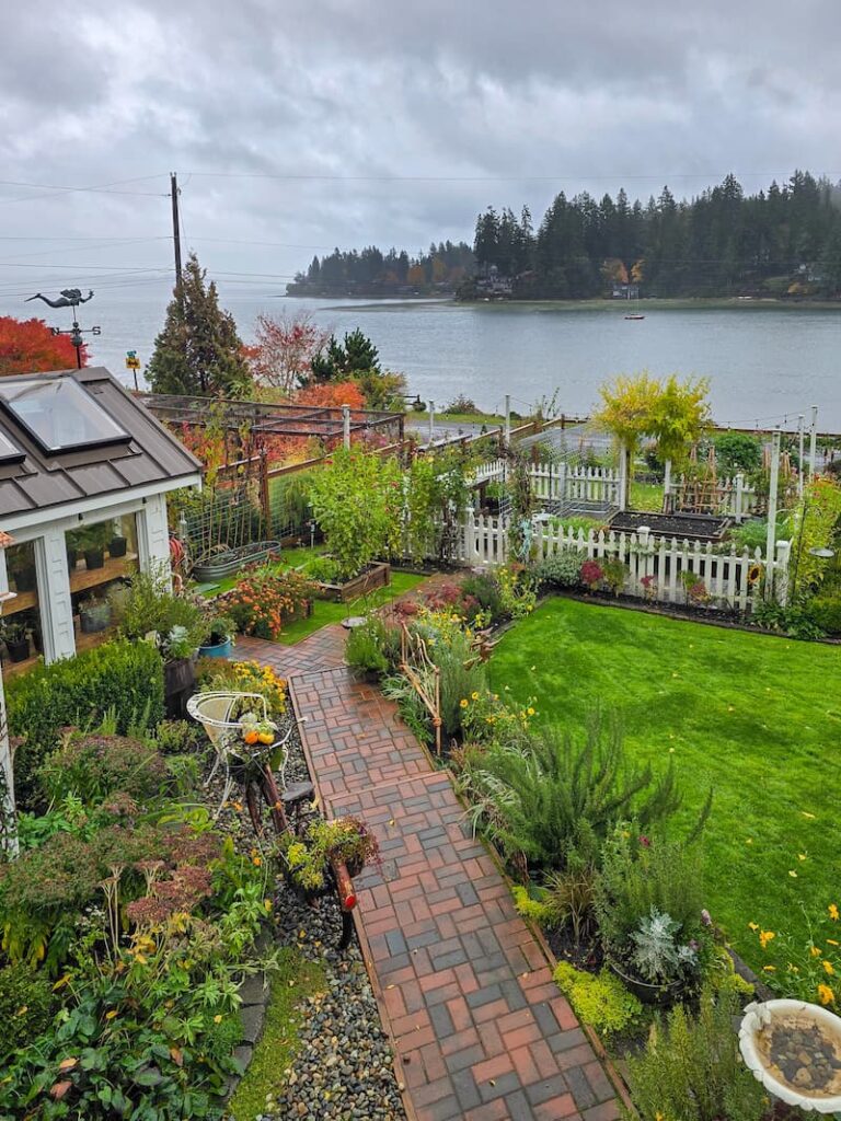 garden in the fall on November first