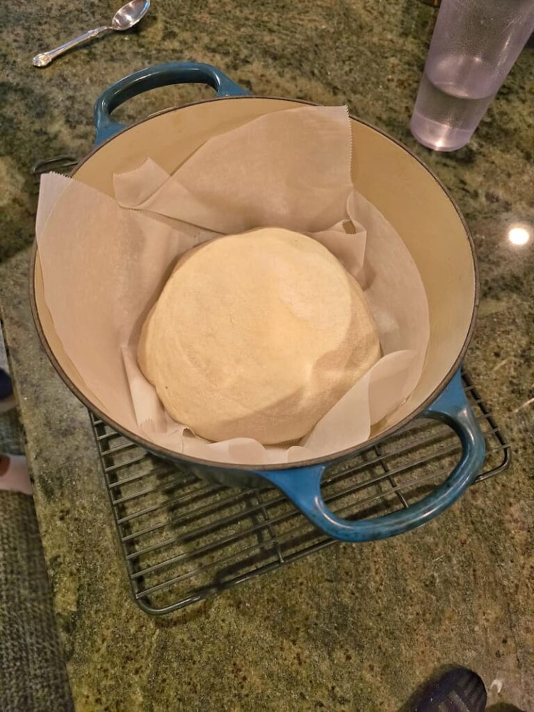 sourdough loaf ready to go in the oven
