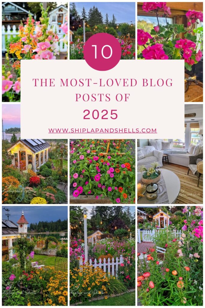 10 of the most loved blog posts of 2025 graphic