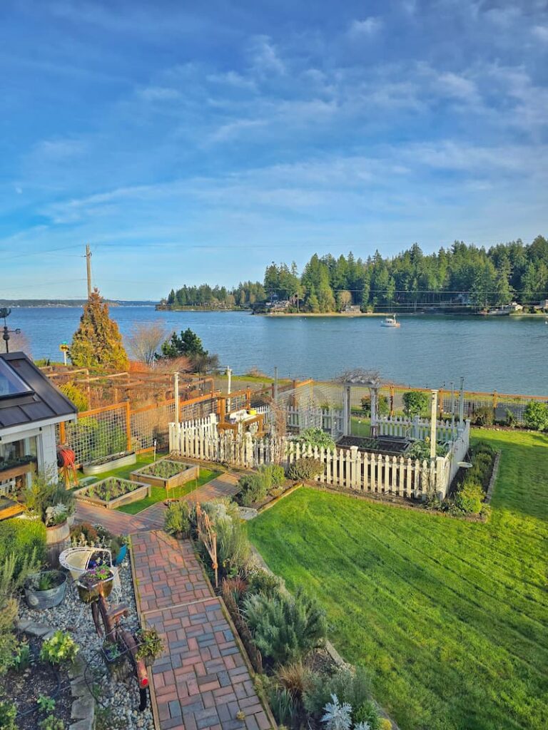 Pacific Northwest garden at the end of February with a view of the bay and the white picket fence garden