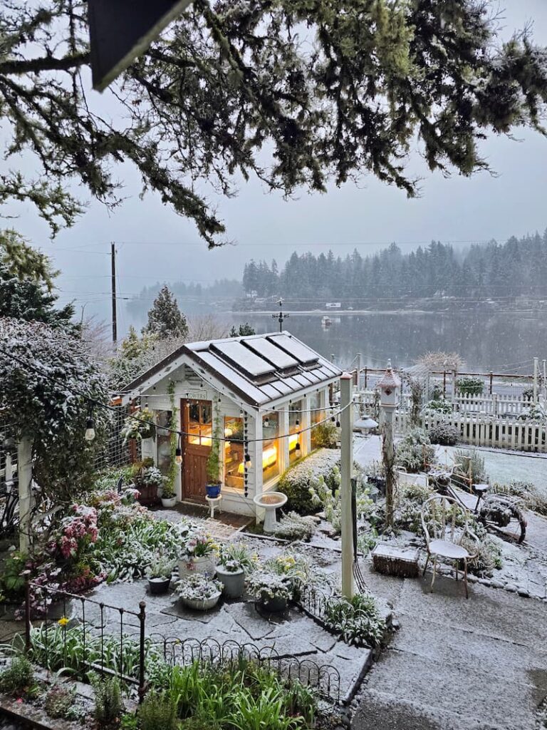 greenhouse and garden covered with snow