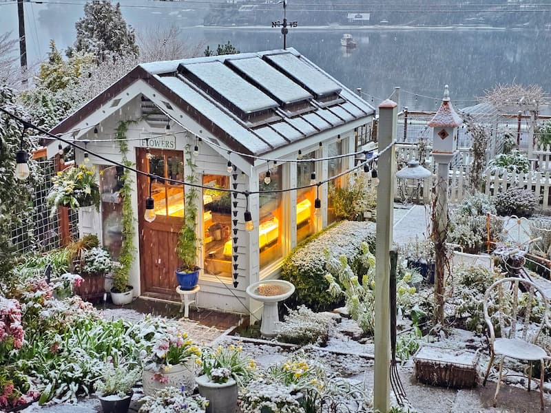 greenhouse and birdhouse in the snow