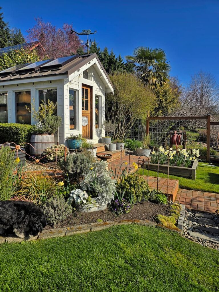 cottage garden and greenhouse the end of March