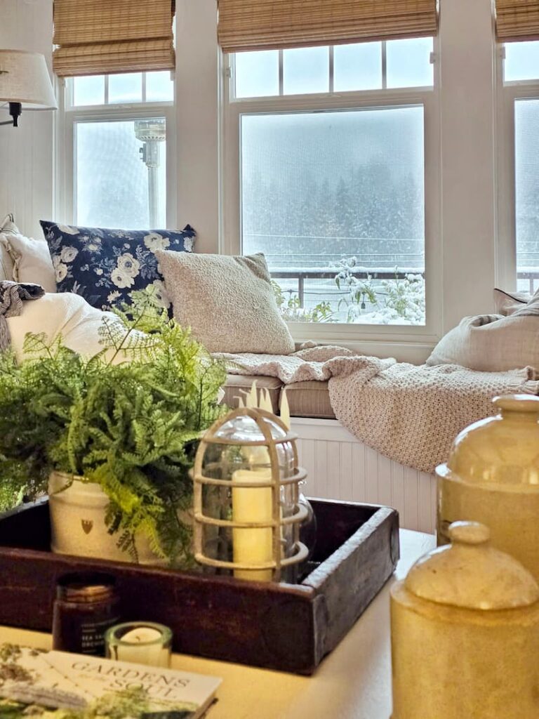 in the living room looking at the snow out the window