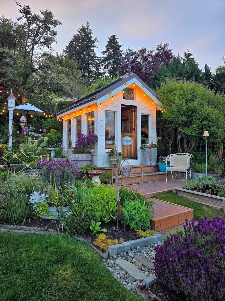 greenhouse and May garden at dusk with bistro lights and lavender blooming