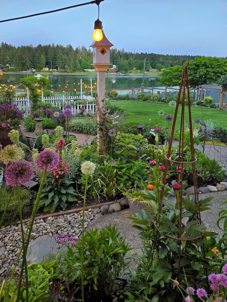 cottage garden view in May with alliums, birdhouse and water views