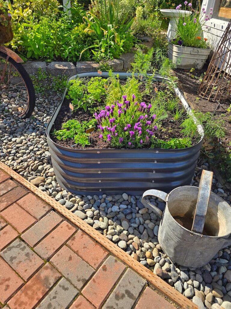 herb garden