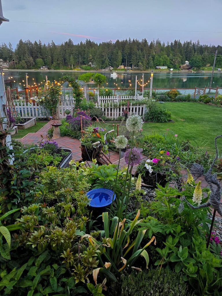cottage garden view in May with alliums, bistro lights and water views