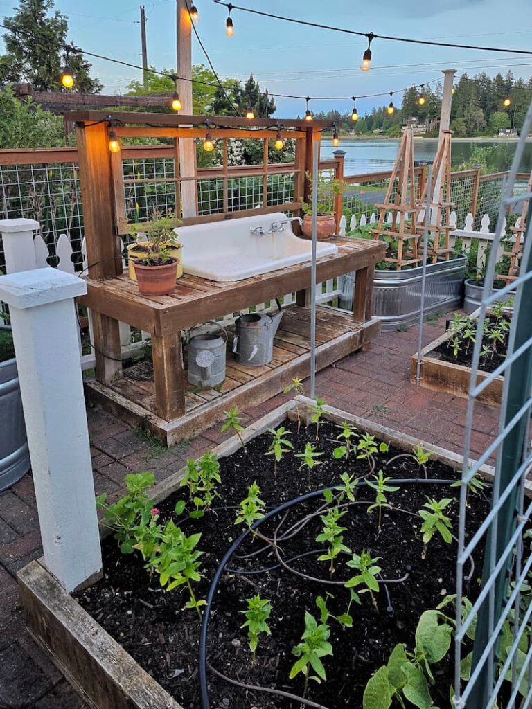 cut flower garden with bistro lights, seedlings growing in the raised beds, and a potting bench with a vintage farmhouse sink