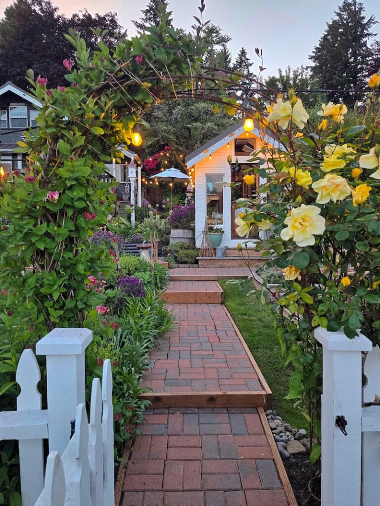 cottage garden in May with yellow roses climbing up the arbor, greenhouse, and a brick paver garden pathway