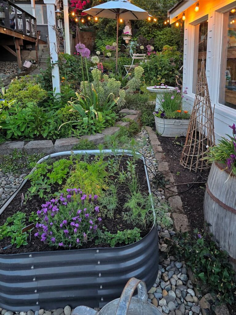 cottage garden and herb container
