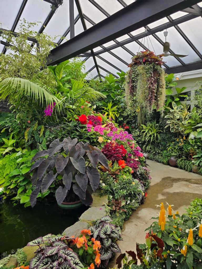 greenhouse full of exotic flowers and plants