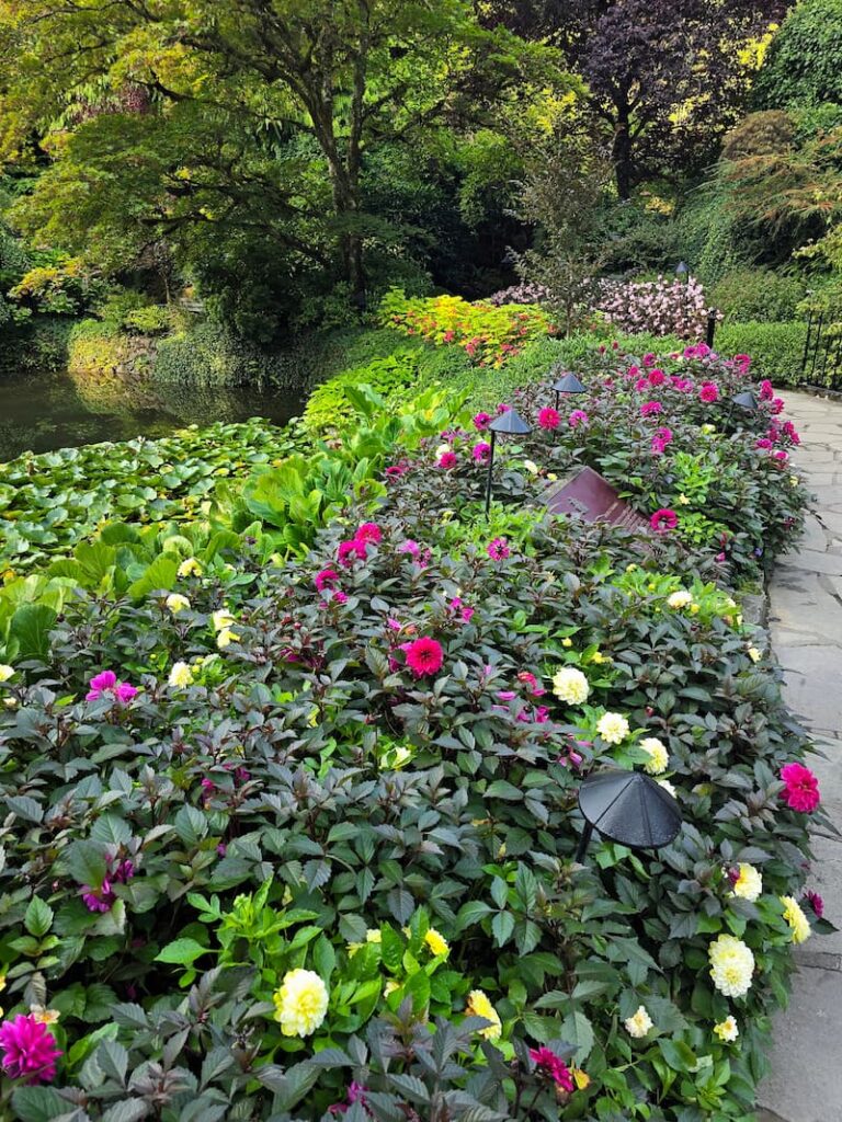 The Butchart Gardens flowers and pond