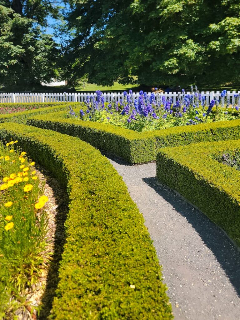 garden at English Camp  