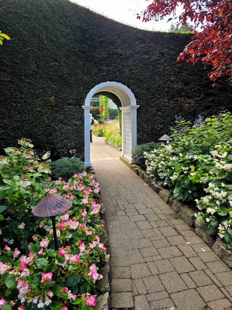 large hedge walls