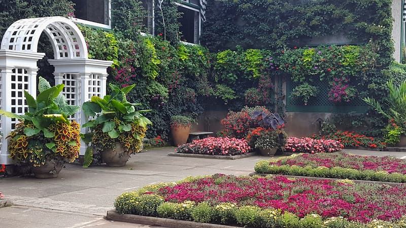 The Butchart Gardens Italian Garden with fall mums starting to bloom