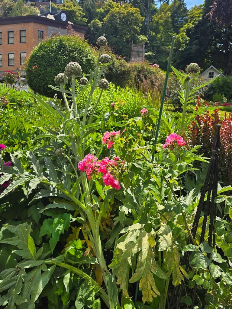 Roche Harbor Resort garden