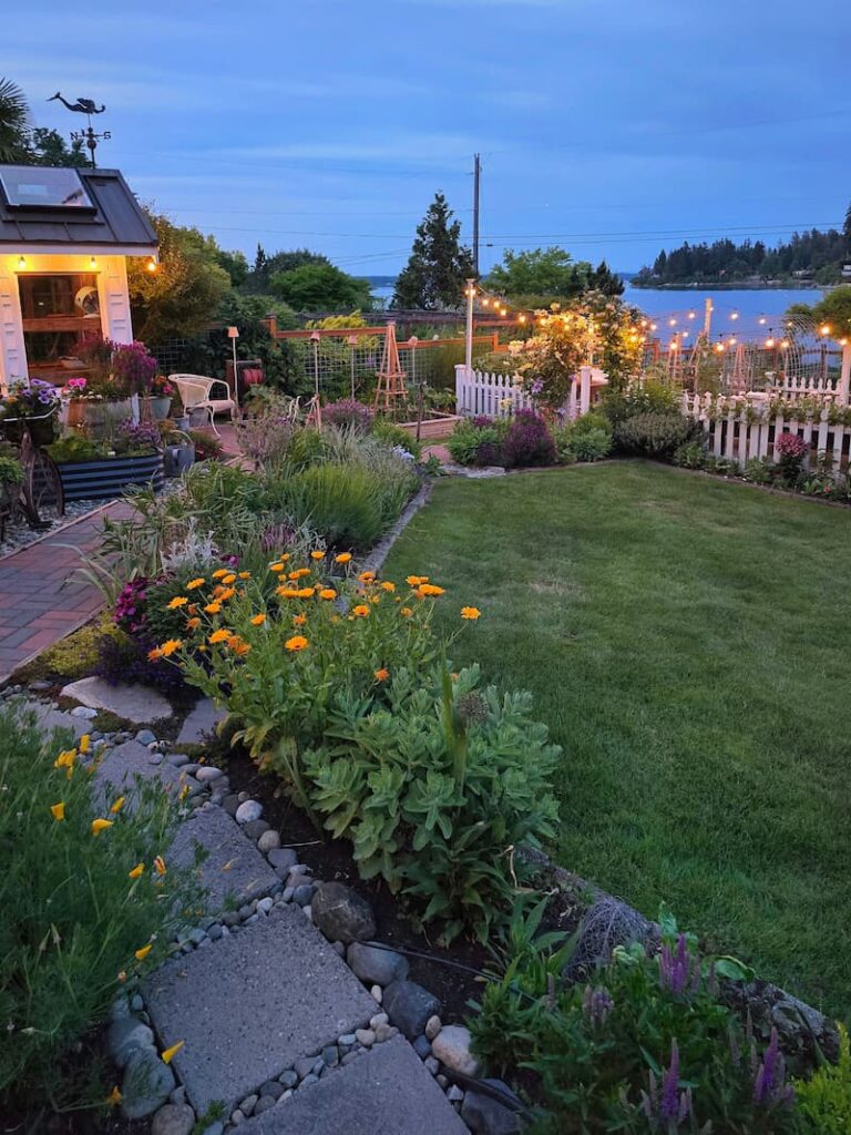  cottage garden evening view