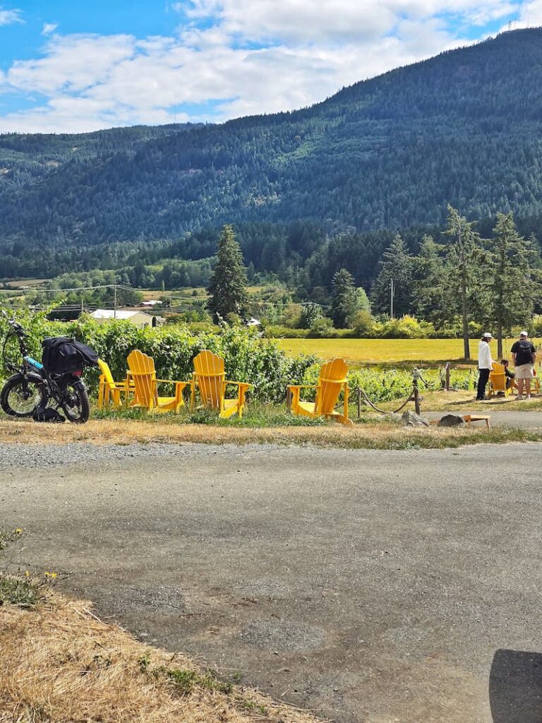 Garry Oaks winery outdoor view with yellow chairs