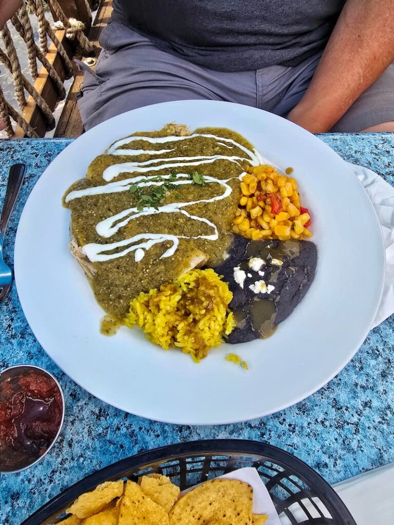 enchilada with green sauce plate
