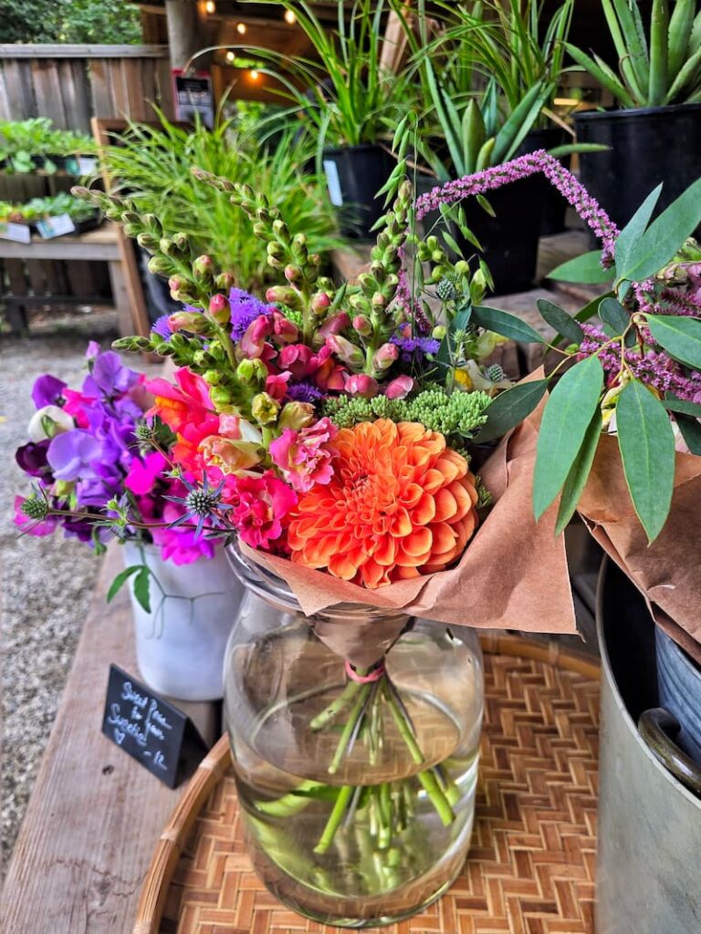 fresh cut flowers at the Stowel Lake Farm