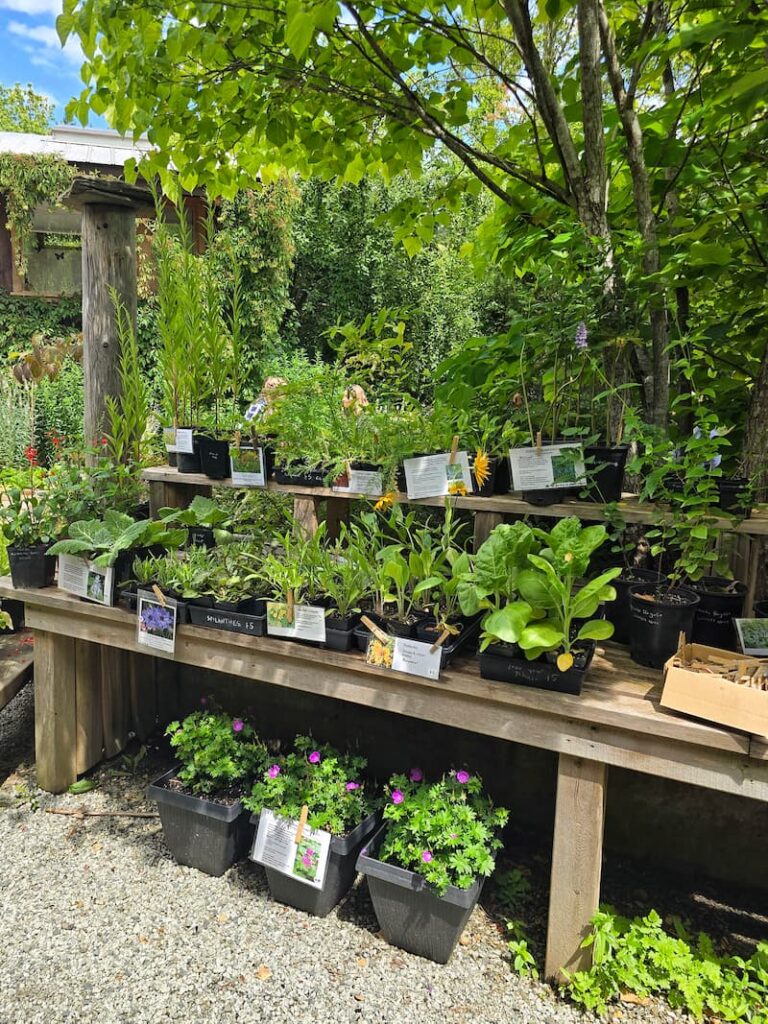 plants at the Stowel Lake Farm