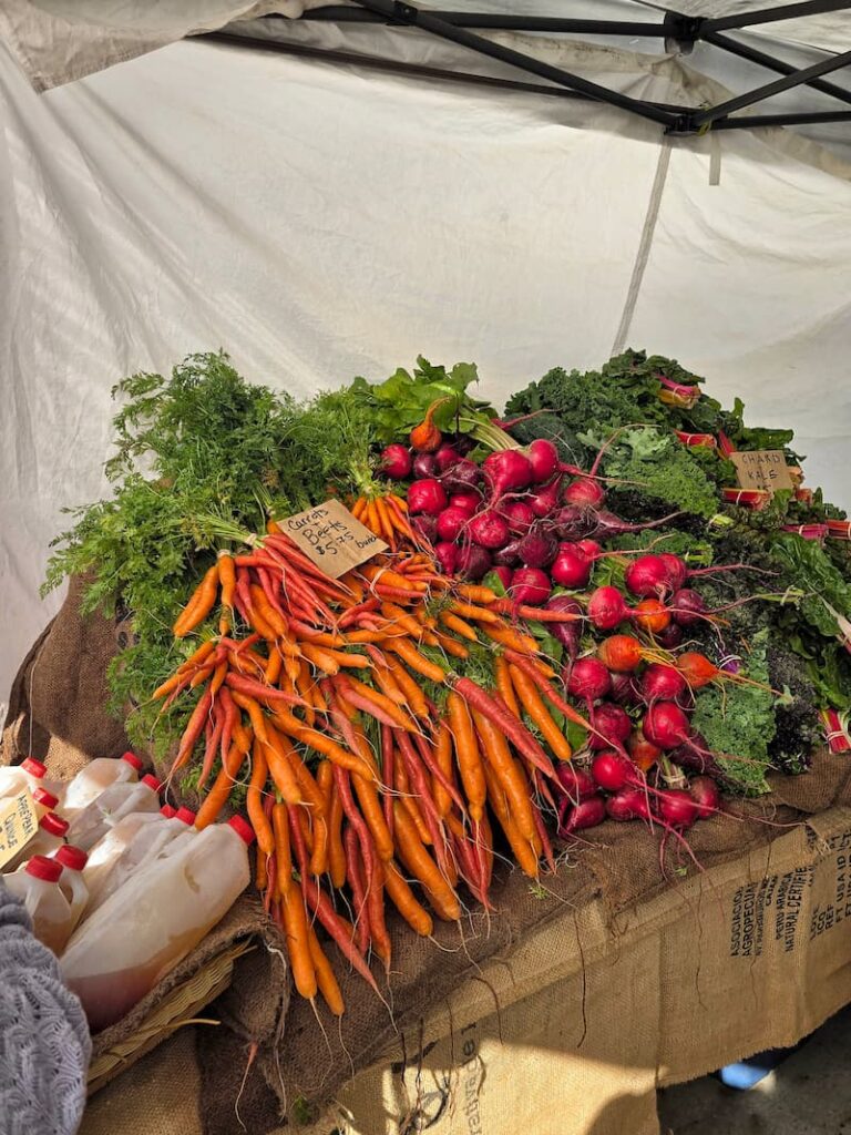 carrots, radishes, and kale on a table displayed
