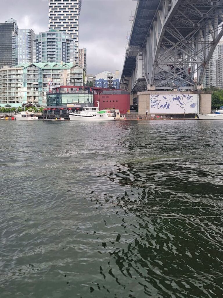 Wildflower boat near the Granville Street Bridge