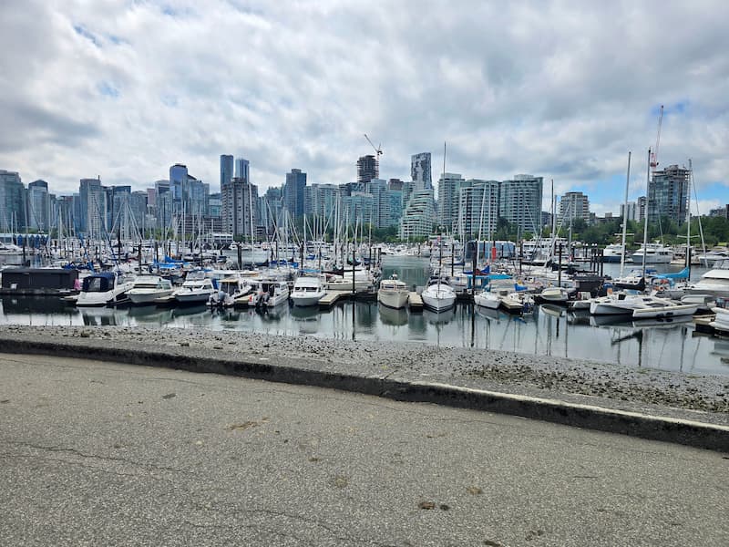 view from Stanley Park