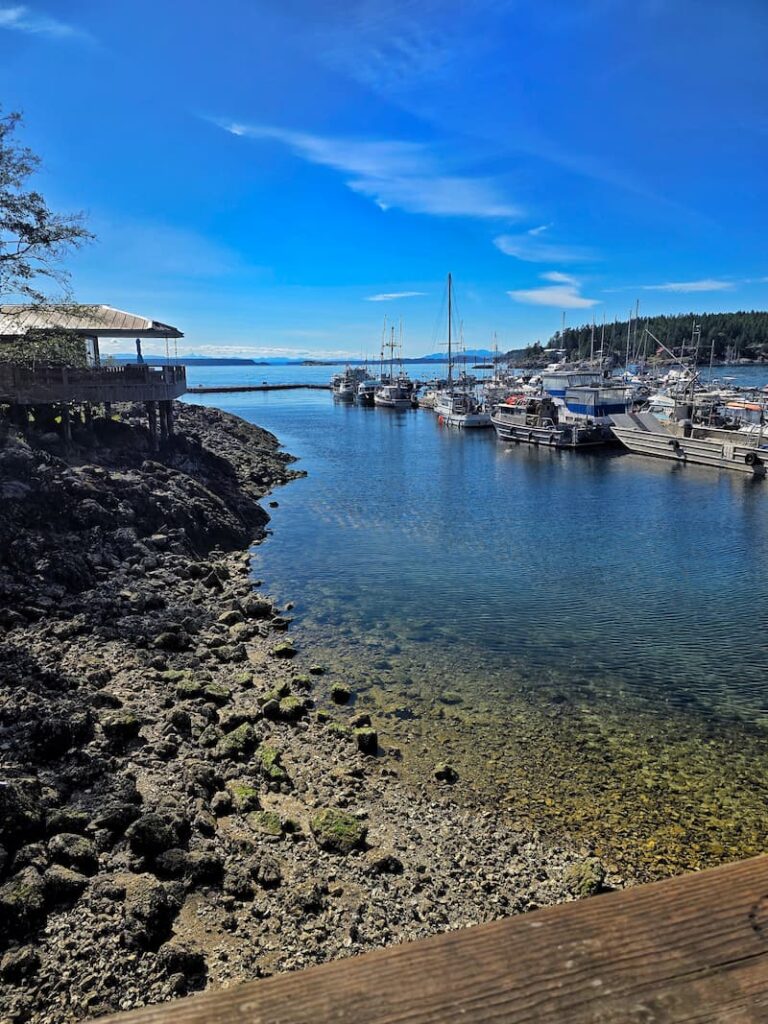 The marina in Lund