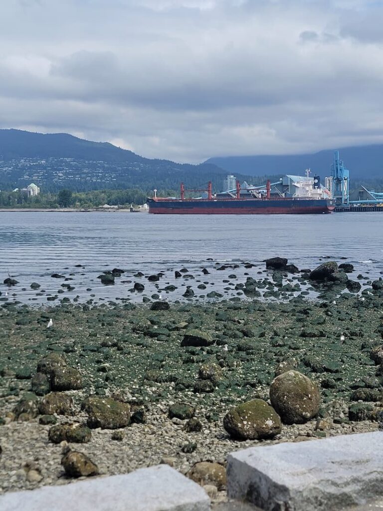 view from Stanley Park