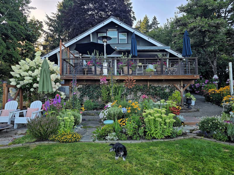 A 1920 beach cottage surrounded by a lush summer garden on Puget Sound