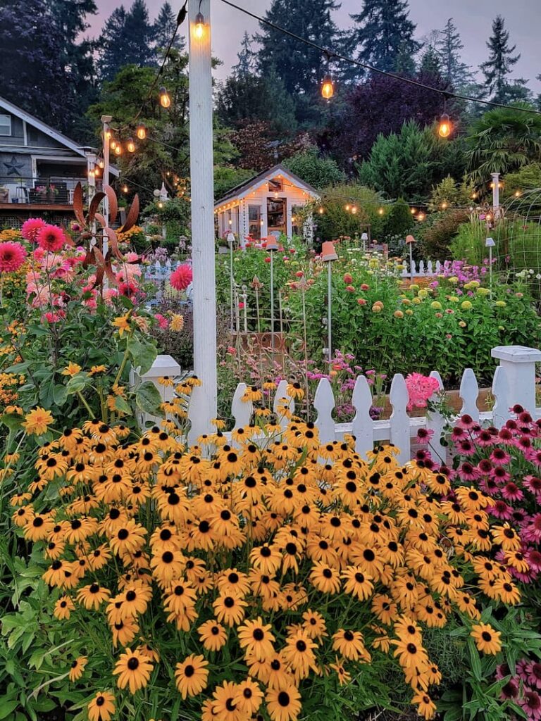 Cut flower garden in late August at a Pacific Northwest beach cottage on Puget Sound