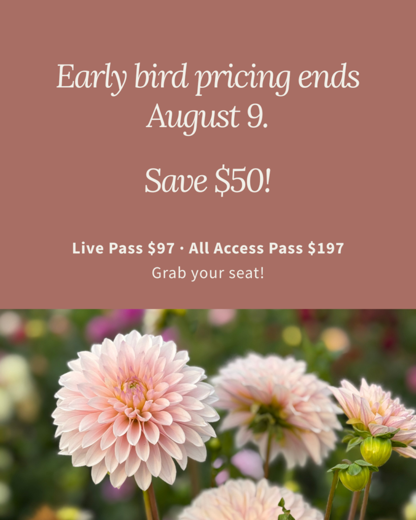 early bird pricing graphic